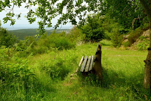 0-2大冷门！14亿豪门主场轰然倒下 5轮1胜