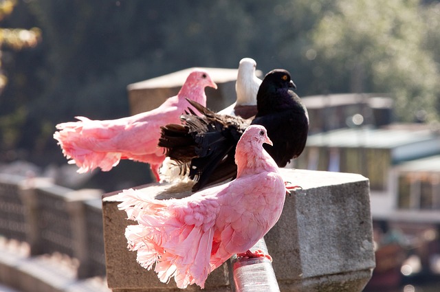 新生代的追 新生代的追
