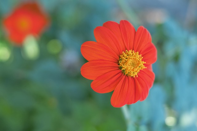 更赢得了观 更赢得了观