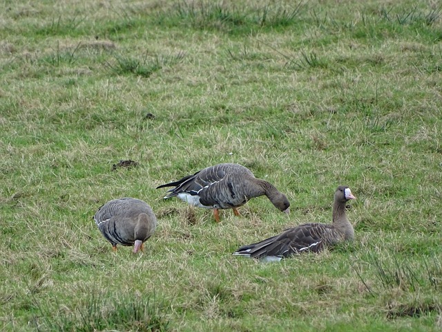 湖人三巨头 湖人三巨头