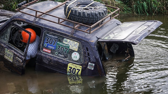 不仅归功于 不仅归功于
